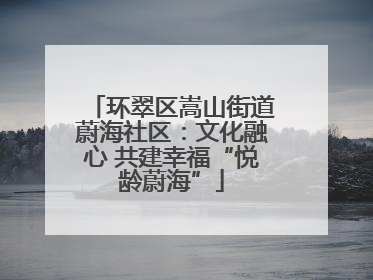 环翠区嵩山街道蔚海社区：文化融心 共建幸福“悦龄蔚海”