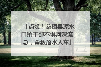 点赞！桑植县凉水口镇干部不惧河深流急，勇救落水人车