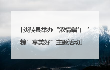 炎陵县举办“浓情端午‘粽’享美好”主题活动