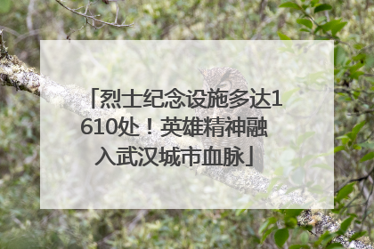 烈士纪念设施多达1610处！英雄精神融入武汉城市血脉