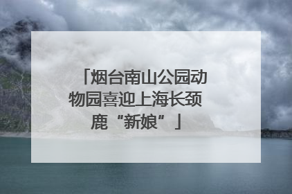 烟台南山公园动物园喜迎上海长颈鹿“新娘”