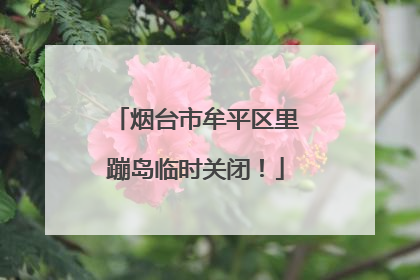 烟台市牟平区里蹦岛临时关闭！