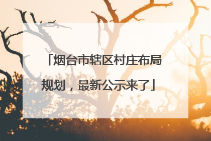 烟台市辖区村庄布局规划，最新公示来了