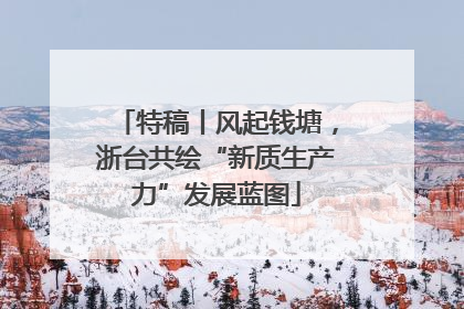 特稿丨风起钱塘，浙台共绘“新质生产力”发展蓝图