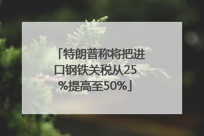 特朗普称将把进口钢铁关税从25%提高至50%