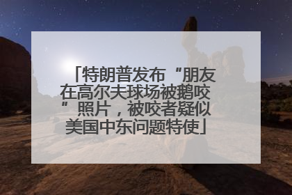 特朗普发布“朋友在高尔夫球场被鹅咬”照片，被咬者疑似美国中东问题特使