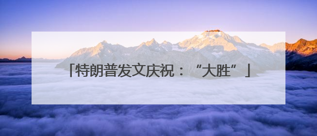 特朗普发文庆祝：“大胜”