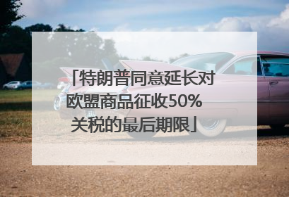 特朗普同意延长对欧盟商品征收50%关税的最后期限
