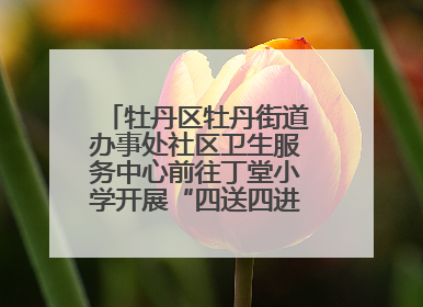 牡丹区牡丹街道办事处社区卫生服务中心前往丁堂小学开展“四送四进四提升”及无烟日宣传活动