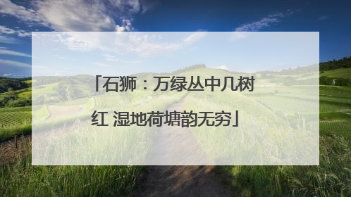 石狮：万绿丛中几树红 湿地荷塘韵无穷