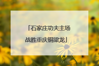 石家庄功夫主场战胜重庆铜梁龙