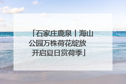 石家庄鹿泉丨海山公园万株荷花绽放 开启夏日赏荷季