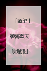 瞭望丨碧海蓝天映煤港