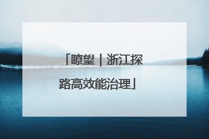 瞭望｜浙江探路高效能治理