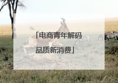 电商青年解码品质新消费