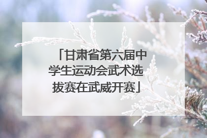 甘肃省第六届中学生运动会武术选拔赛在武威开赛