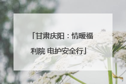 甘肃庆阳：情暖福利院 电护安全行