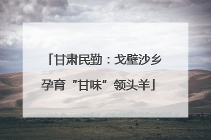 甘肃民勤：戈壁沙乡孕育“甘味”领头羊