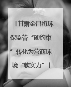 甘肃金昌将环保监管“硬约束”转化为营商环境“软实力”