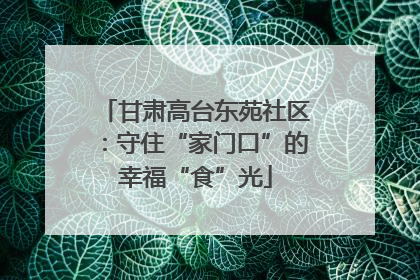 甘肃高台东苑社区：守住“家门口”的幸福“食”光