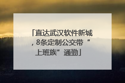 直达武汉软件新城，8条定制公交带“上班族”通勤