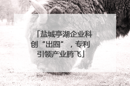 盐城亭湖企业科创“出圈”，专利引领产业腾飞