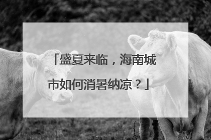 盛夏来临，海南城市如何消暑纳凉？