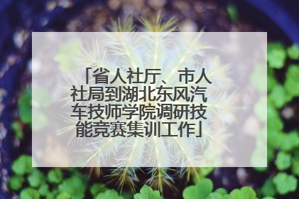省人社厅、市人社局到湖北东风汽车技师学院调研技能竞赛集训工作
