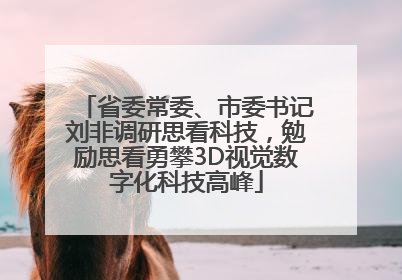 省委常委、市委书记刘非调研思看科技，勉励思看勇攀3D视觉数字化科技高峰