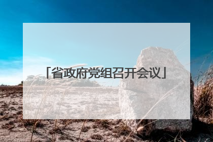 省政府党组召开会议