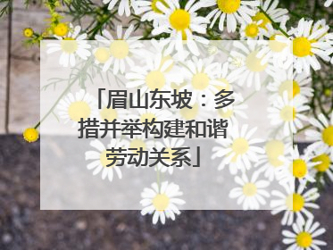 眉山东坡：多措并举构建和谐劳动关系