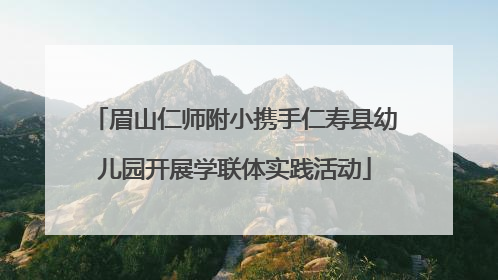 眉山仁师附小携手仁寿县幼儿园开展学联体实践活动
