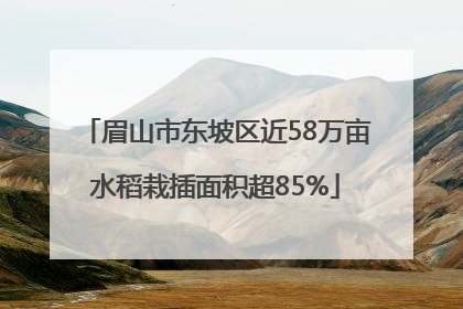 眉山市东坡区近58万亩水稻栽插面积超85%