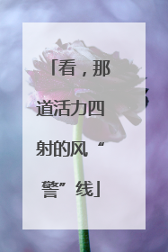 看，那道活力四射的风“警”线