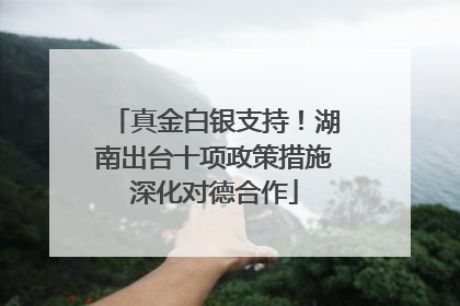 真金白银支持！湖南出台十项政策措施深化对德合作