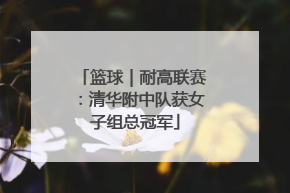 篮球｜耐高联赛：清华附中队获女子组总冠军