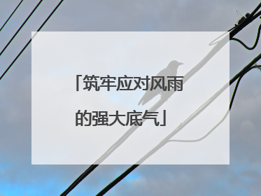 筑牢应对风雨的强大底气