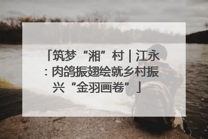 筑梦“湘”村｜江永：肉鸽振翅绘就乡村振兴“金羽画卷”