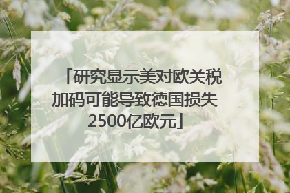 研究显示美对欧关税加码可能导致德国损失2500亿欧元