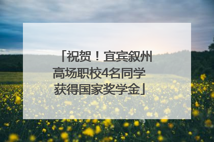 祝贺！宜宾叙州高场职校4名同学获得国家奖学金