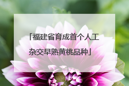 福建省育成首个人工杂交早熟黄桃品种