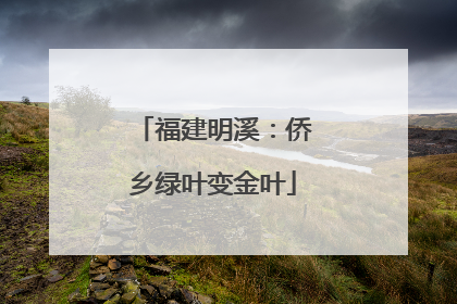 福建明溪：侨乡绿叶变金叶
