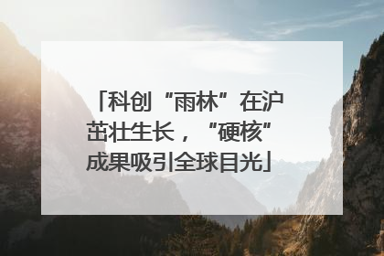 科创“雨林”在沪茁壮生长，“硬核”成果吸引全球目光
