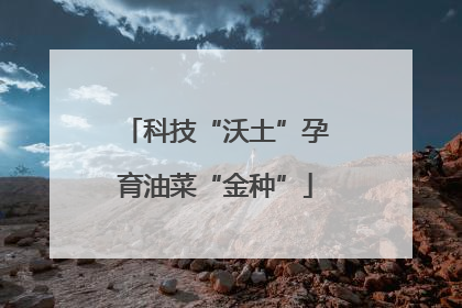 科技“沃土”孕育油菜“金种”