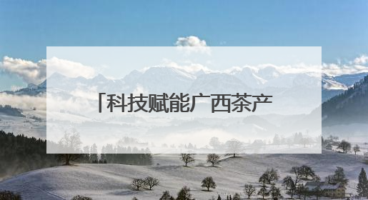 科技赋能广西茶产业“持续领鲜” 八桂茶香沁人心