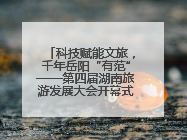 科技赋能文旅，千年岳阳“有范”——第四届湖南旅游发展大会开幕式暨文化旅游推介会侧记