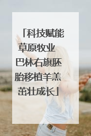 科技赋能草原牧业 巴林右旗胚胎移植羊羔茁壮成长