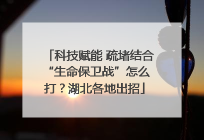科技赋能 疏堵结合 “生命保卫战”怎么打？湖北各地出招