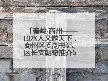秦岭·商州——山水人文邀天下，商州区委副书记、区长支朝奇推介5个重点招商项目