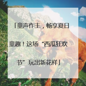 童声作主，畅享夏日童趣！这场“西瓜狂欢节”玩出新花样